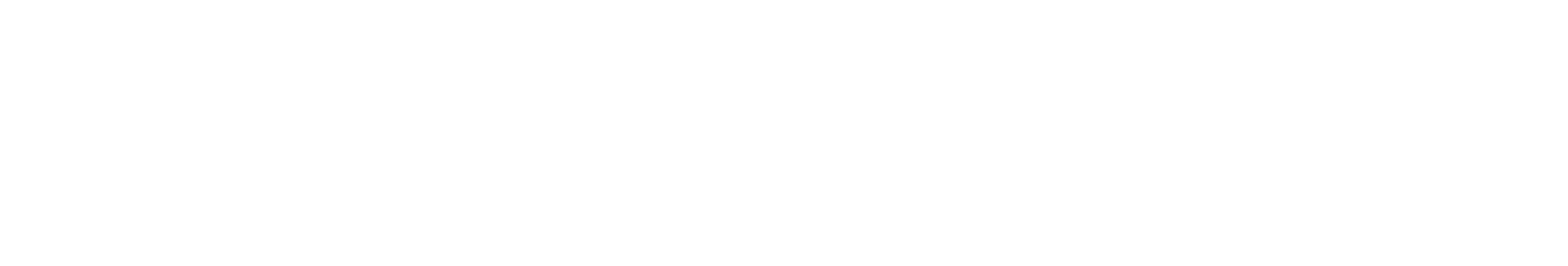 logo skyborn blanc